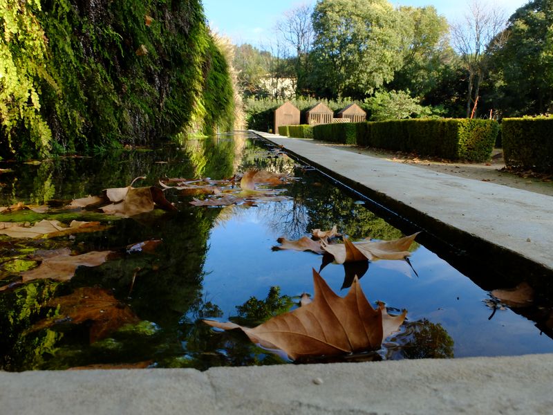 Un jardin remarquable : plan d'eau en automne