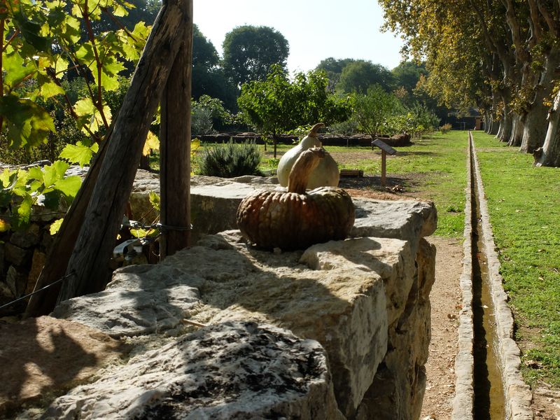 Un jardin remarquable : mur de pierre avec chenal d'irrigation en pierre