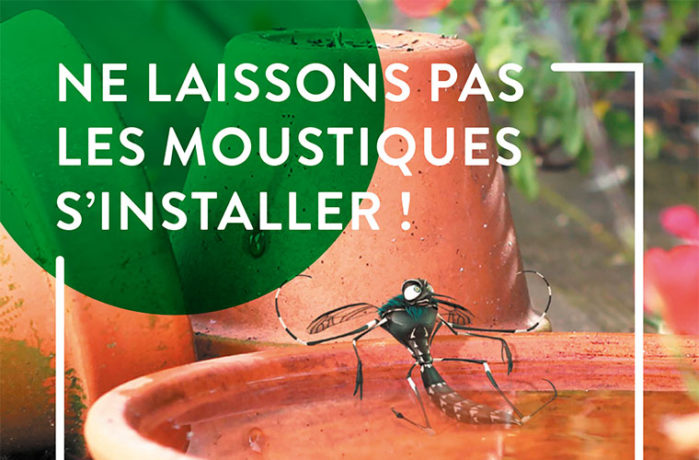 La lutte contre le moustique tigre en France - Reportage France